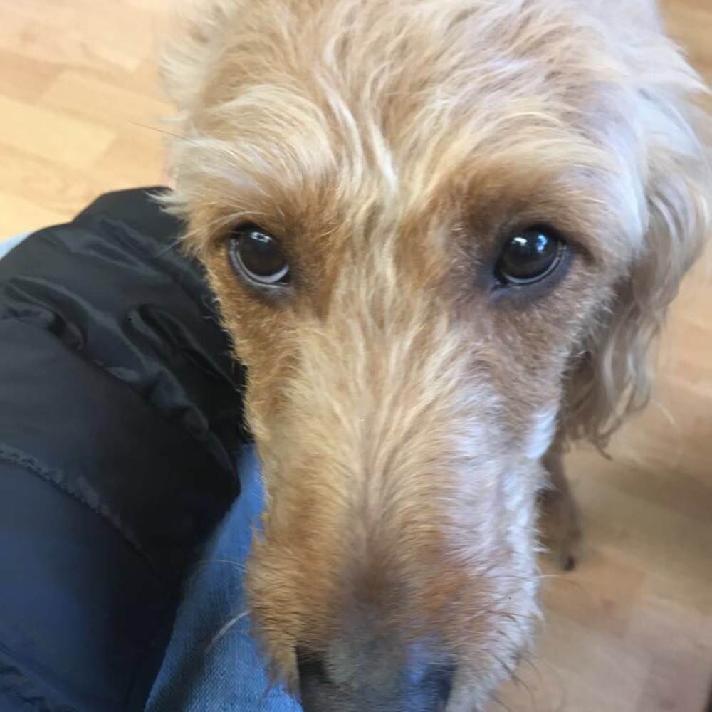 Meet your Posher, Sean